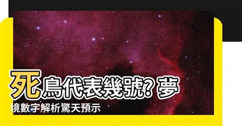 小鳥代表幾號|【小鳥代表數字】小鳥叩心！數字解析揭秘！快來夢境迷航指南 –